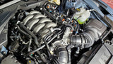 J&L 2024 Ford Mustang 5.0L Oil Separator 3.0 PCV Side - Black Anodized